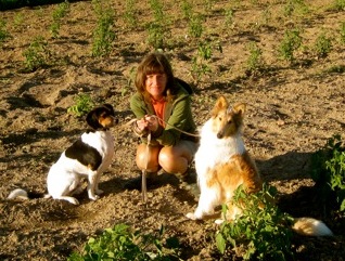 photo of Linda in her garden with two dogs